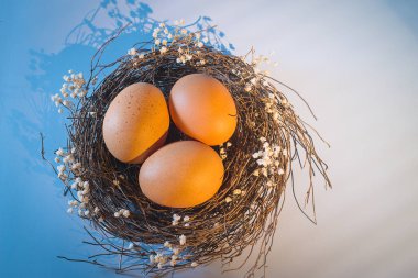 Paskalya sepeti ve bahar çiçekleri. Ahşap arka planda paskalya yumurtaları. Sabah güneşli pencere ışıkları. Paskalya bayramı metni için boşluk kopyala