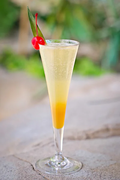 Erfrischender alkoholischer tropischer Cocktail "Mimosen" — Stockfoto