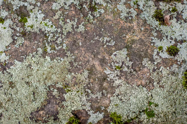 Natuurlijke steen textuur — Stockfoto