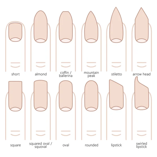 Tipos de formas de uñas — Vector de stock