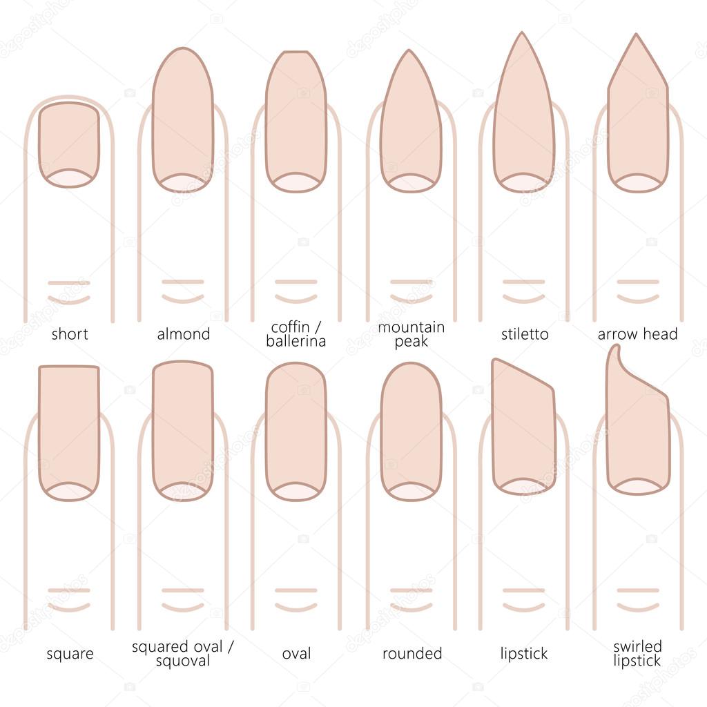 Set of nails shapes Royalty Free Vector Image - VectorStock