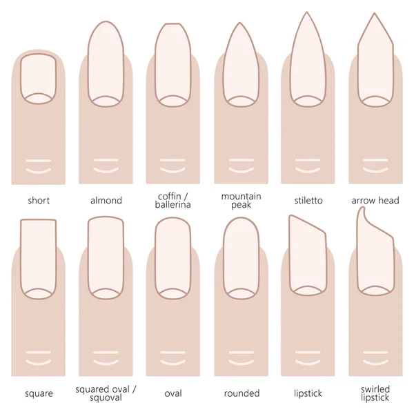 Diferentes formas uñas — Vector de stock