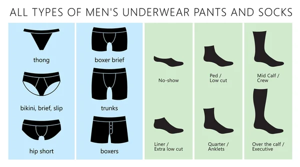 Män underkläder byxor och strumpor — Stock vektor