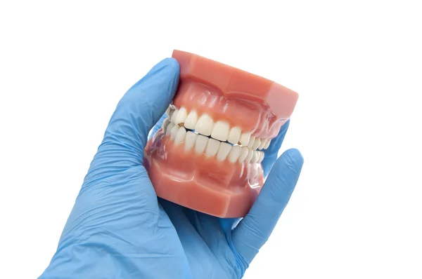 Tandarts orthodontische Showresultaten van lachende tandbehandeling — Stockfoto