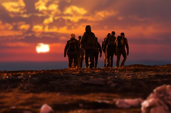 Group of trekkers making an excursion — Stock Photo, Image