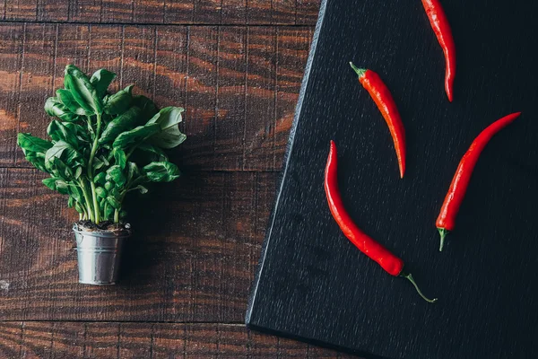 Chili papričky a rostlin na dřevěné pozadí — Stock fotografie