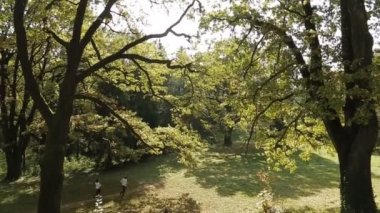 Genç çift yeşil ormanda çalışan