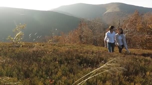Paar in weißen Hemden spaziert auf Wiese — Stockvideo