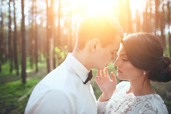 Fotosessão de casamento de jovem casal perto da floresta — Fotografia de Stock