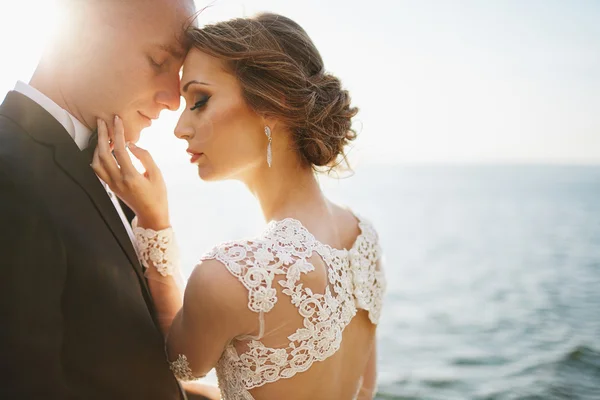 Photoshoot aşık bir gelinlik dağlarda yakın: s