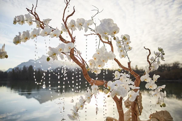 güzel çiçek dekorasyon düğün ceremon içinde yumuşak odak