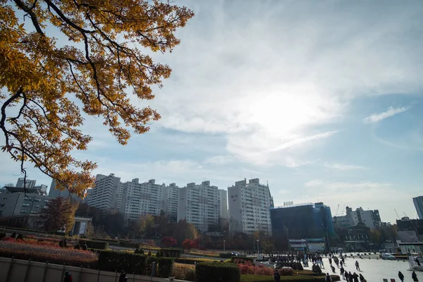 Seul Güney Kore Kasım 2019 Sonbaharda Ewha Womans Üniversitesi Özel — Stok fotoğraf