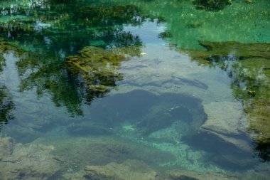 Şeffaf yeşil ve mavi dereler ağaç kökleri ve kayalar suyun altında. Thapom Klong Song Nam, Krabi, Tayland