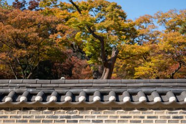 Changdeokgung Sarayı 'ndaki güzel sonbahar yapraklarıyla Kore geleneksel taş duvarı..