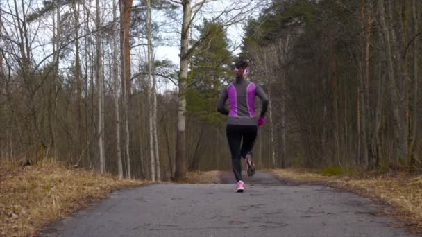 Ormanda spor atlet — Stok video