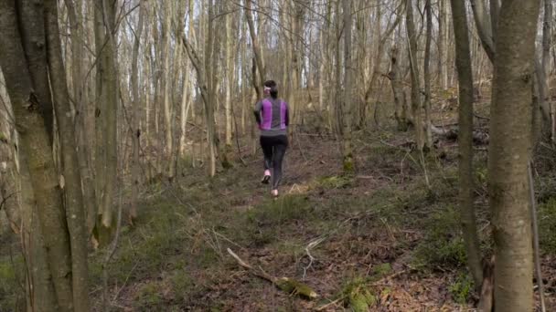 Sport löpare i skogen — Stockvideo