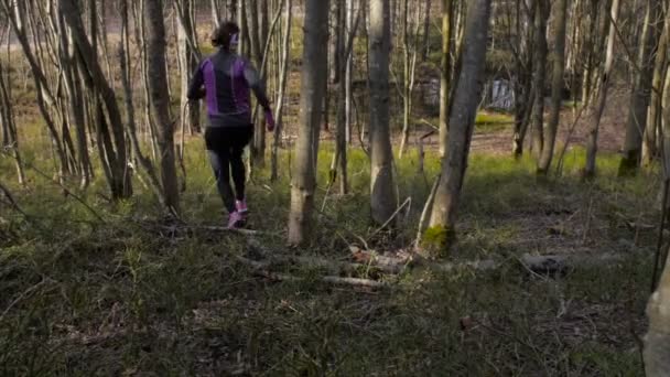 Corredor desportivo na floresta — Vídeo de Stock