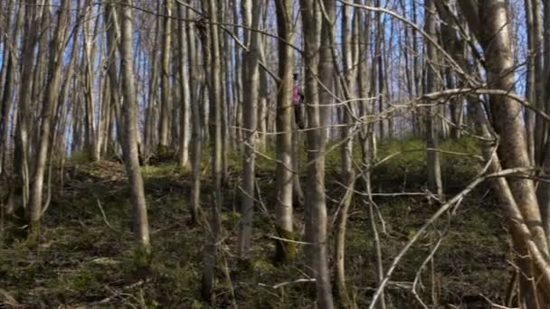 숲에서 스포츠 러너 — 비디오