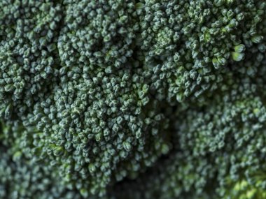 fersh yeşil brokoli