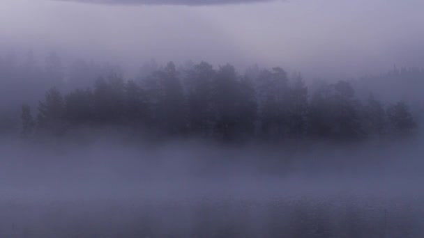 湖の朝の霧 — ストック動画