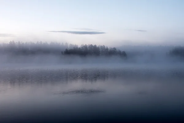 Утренний туман на озере Стоковая Картинка