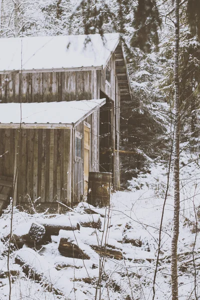 Lumimyrsky maassa talvella — kuvapankkivalokuva