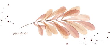 Sonbahar yaprakları beyaz arka planda suluboya şeffaf izole edilir. El yapımı botanik suluboya. Davetiyeler, tebrik kartları ya da duvar dekorasyonu için mükemmel..