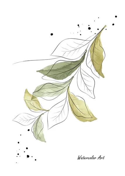 부드러운 초대장 나뭇잎 가지들 식물학 수채화 수채화가 배경에 분리되어 있습니다 — 스톡 벡터