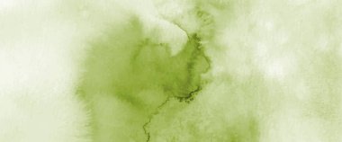 Soyut açık yeşil suluboya arka plan için elle boyanmış. Başlık, poster, kart, kapak veya pankartın dekoratif tasarımında kullanılan bir unsur olarak kullanılan lekeli sanatsal vektör. fırça dosyaya dahil.