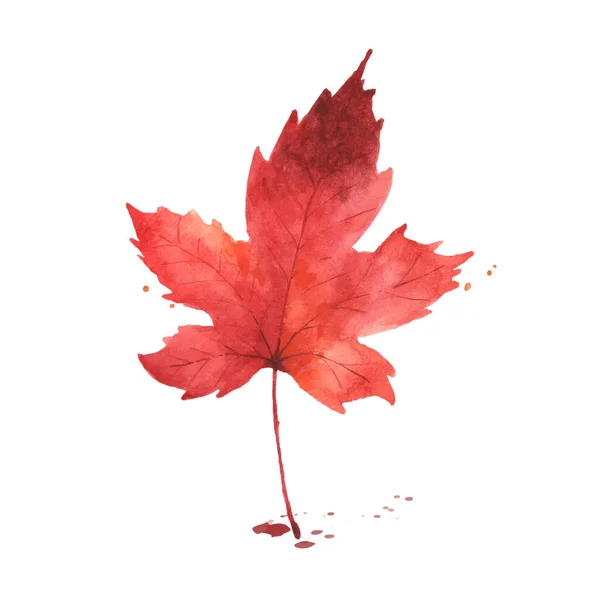 Podzimní Akvarel Javorový List Akvarel Ručně Malované Izolované Bílém Pozadí — Stockový vektor