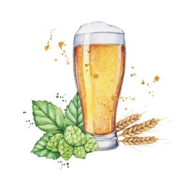 watercolor beer with  hops. Food illustration.