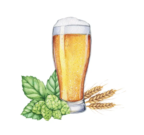 Watercolor beer with  hops. Food illustration. — ストック写真