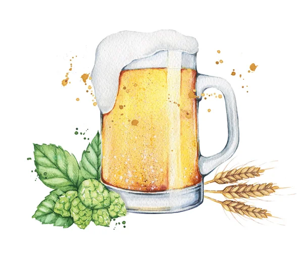 Watercolor beer with  hops. Food illustration. — Stockfoto