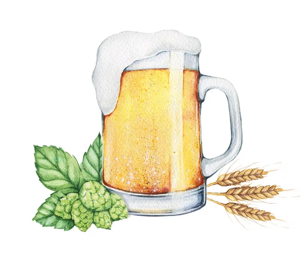 Watercolor beer with  hops. Food illustration. — Stockfoto