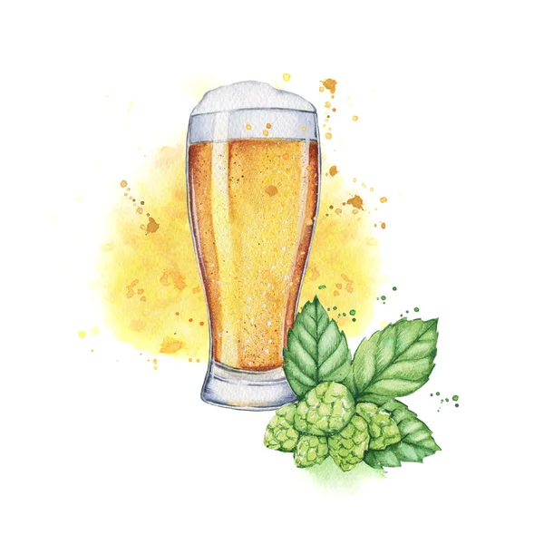 Watercolor beer with  hops. Food illustration.