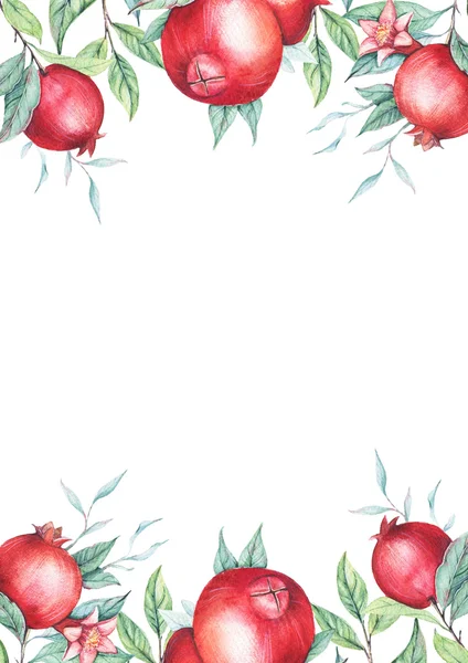 Elle çizilmiş sınır nar dalı üzerine beyaz izole yeşil yaprakları ile suluboya botanik çizimi.