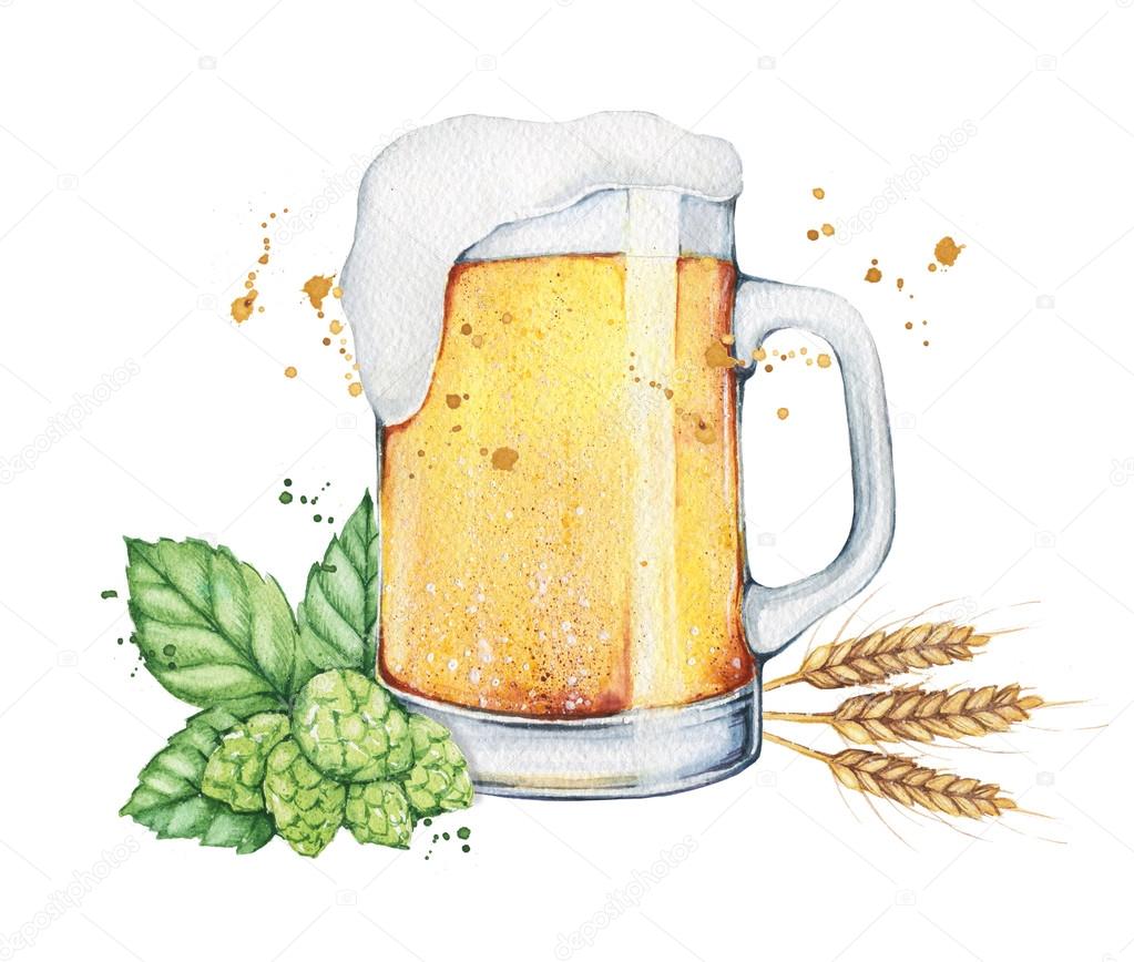 watercolor beer with  hops. Food illustration.