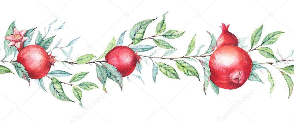 Hand drawn seamless border watercolor botanical illustration of pomegranate branch with green leaves isolated on white.