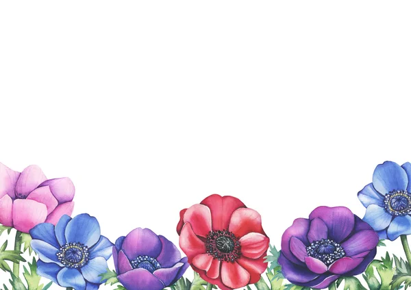 Akvarell anemone virágok keret vagy határ a kártyákat, meghívókat. Nagyon romantikus és elegáns — Stock Fotó