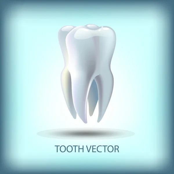 Imagen diente vector ilustración para odontología — Archivo Imágenes Vectoriales