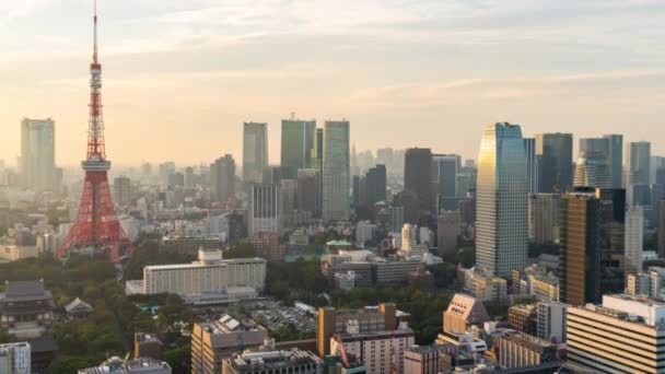 Časová Prodleva Tokijského Městského Okresu Tokijskou Věží Večerní Výhled Město — Stock video