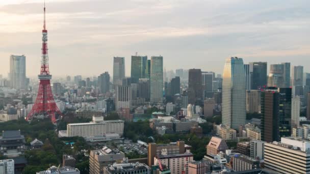 День Ночь Центральный Район Токио Башней Токио Вечерним Видом Город — стоковое видео