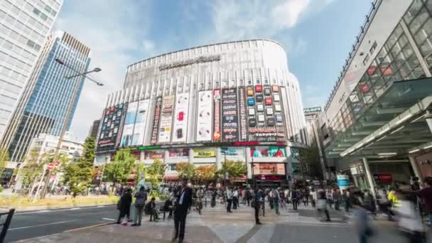 東京都 2019年11月2日 日本人とアジア人のタイムラプスが秋葉原商店街を歩く アジア都市生活 東京のダウンタウンライフスタイル 通勤交通の概念 — ストック動画