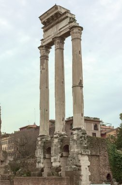 İmparatorluk forum Roma palatino