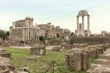 İmparatorluk forum Roma palatino
