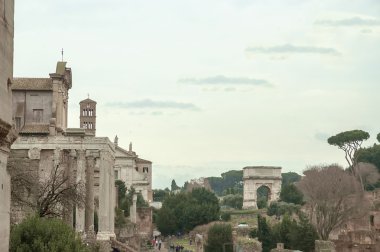 İmparatorluk forum Roma palatino