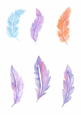 Tasarım kartları için suluboya tüyler. Suluboya el çizimi.