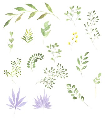 Kartpostal tasarımı için yeşil suluboya dallar seti bayramı kutluyor. Suluboya el çizimi.