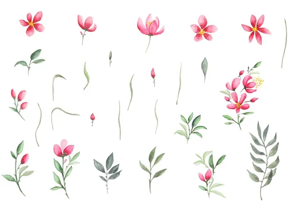 Σύνολο Από Πράσινα Κλαδιά Ακουαρέλας Και Ροζ Λουλούδια Για Σχεδιασμό — Φωτογραφία Αρχείου