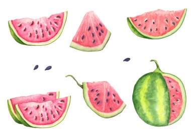 Hediye kartları için suluboya olgun karpuzlar. Suluboya el çizimi